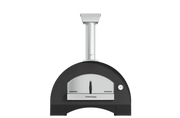 Duel fuel pizza oven