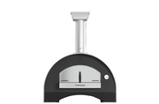 Duel fuel pizza oven