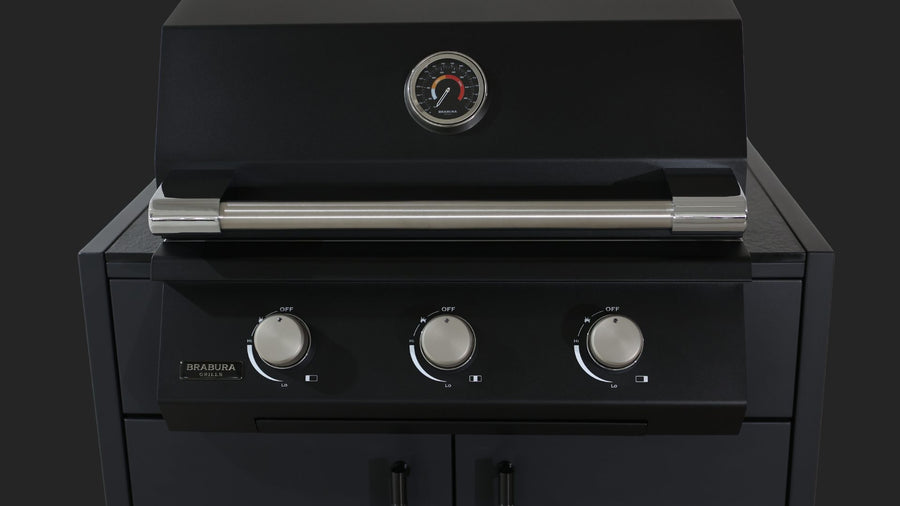 Lite Series-300