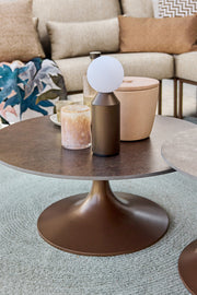 Modern coffee table with decorative items in a living room setting
